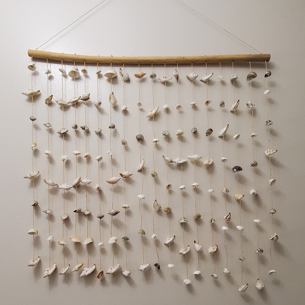 Sea Shell Wall Decor